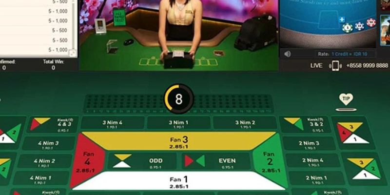 Chất lượng Fantan luôn được nâng cao nhất phù hợp với người chơi yêu thích