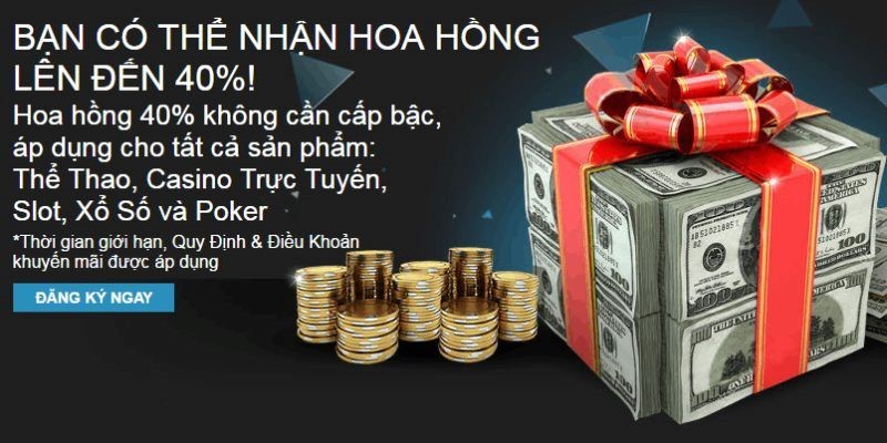 Cơ hội nhận chính sách hoa hồng hấp dẫn