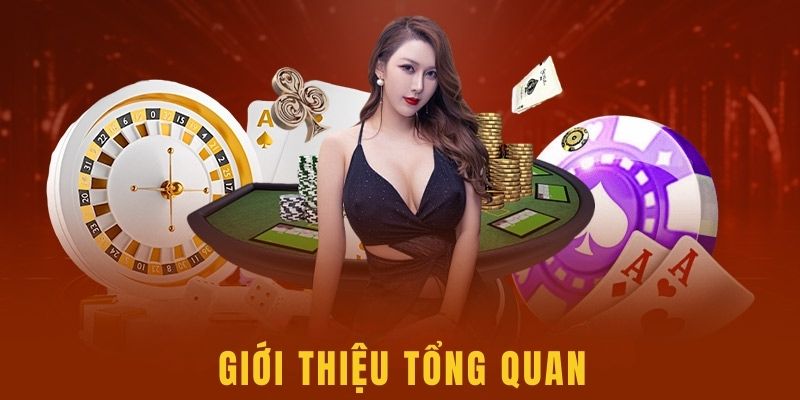 Giới thiệu Ko66 tổng quan