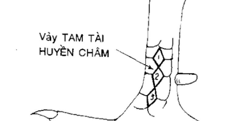 Vay-ga-tam-tai-huyen-tram