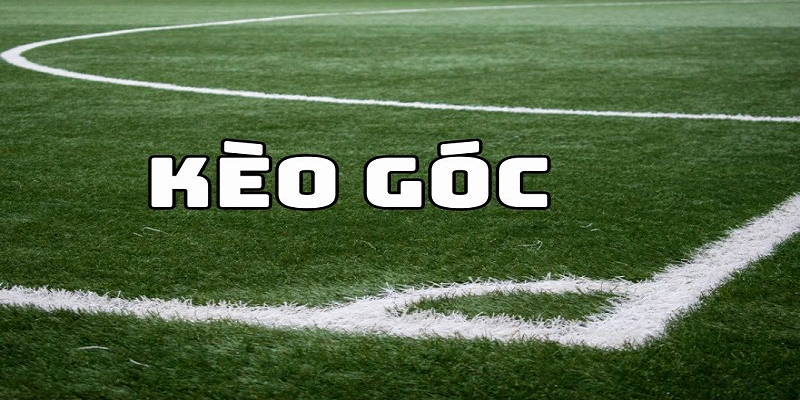 mot-so-loai-keo-phat-goc-pho-bien