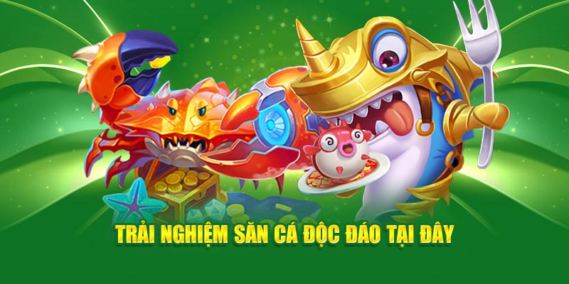 Trải nghiệm đi săn độc đáo tại đây