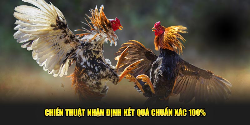 Chiến thuật nhận định kết quả chuẩn xác 100%